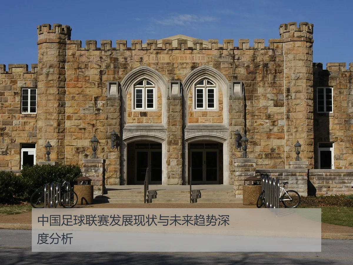 中国足球联赛发展现状与未来趋势深度分析